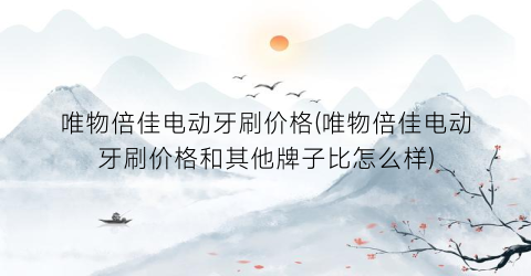 唯物倍佳电动牙刷价格(唯物倍佳电动牙刷价格和其他牌子比怎么样)