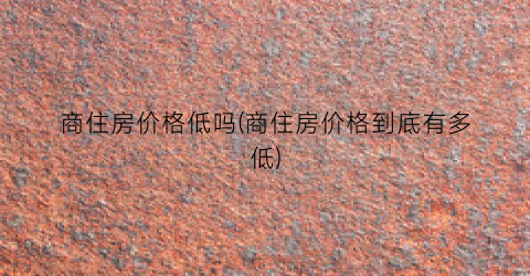 商住房价格低吗(商住房价格到底有多低)