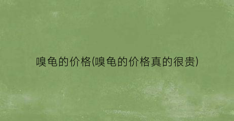 嗅龟的价格(嗅龟的价格真的很贵)