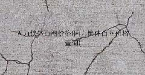固力锁体百图价格(固力锁体百图价格查询)