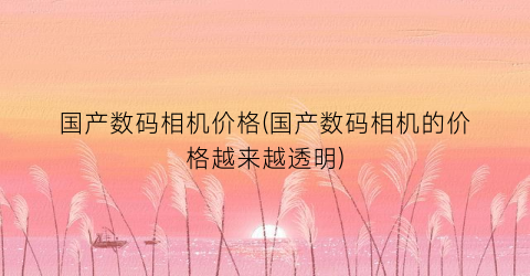 “国产数码相机价格(国产数码相机的价格越来越透明)