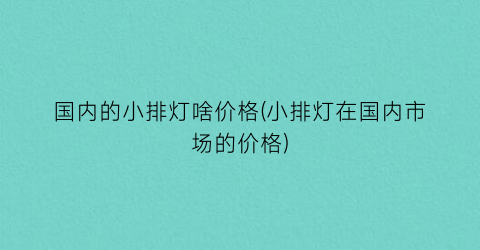 国内的小排灯啥价格(小排灯在国内市场的价格)