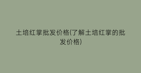 土培红掌批发价格(了解土培红掌的批发价格)