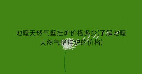地暖天然气壁挂炉价格多少(了解地暖天然气壁挂炉的价格)