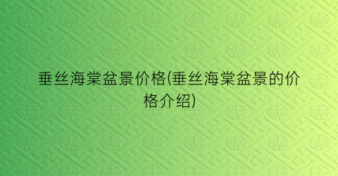 垂丝海棠盆景价格(垂丝海棠盆景的价格介绍)