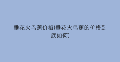 垂花火鸟蕉价格(垂花火鸟蕉的价格到底如何)