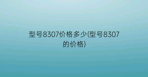 型号8307价格多少(型号8307的价格)