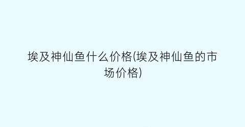 埃及神仙鱼什么价格(埃及神仙鱼的市场价格)