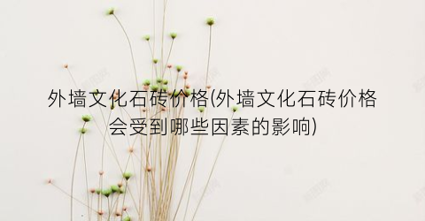 外墙文化石砖价格(外墙文化石砖价格会受到哪些因素的影响)