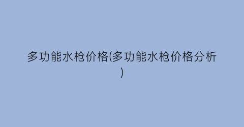多功能水枪价格(多功能水枪价格分析)