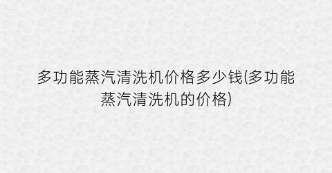多功能蒸汽清洗机价格多少钱(多功能蒸汽清洗机的价格)