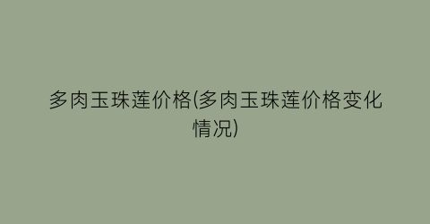 多肉玉珠莲价格(多肉玉珠莲价格变化情况)