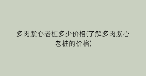 多肉紫心老桩多少价格(了解多肉紫心老桩的价格)