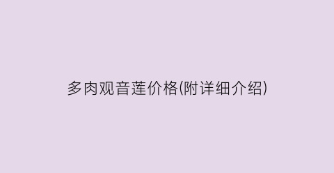 多肉观音莲价格(附详细介绍)