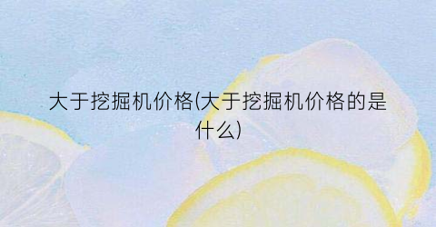 大于挖掘机价格(大于挖掘机价格的是什么)