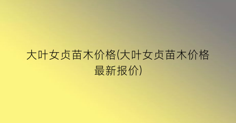 大叶女贞苗木价格(大叶女贞苗木价格最新报价)