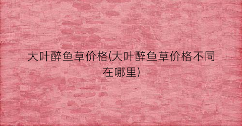 大叶醉鱼草价格(大叶醉鱼草价格不同在哪里)