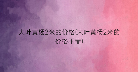 大叶黄杨2米的价格(大叶黄杨2米的价格不菲)