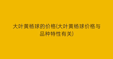 大叶黄杨球的价格(大叶黄杨球价格与品种特性有关)