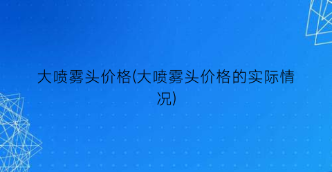 大喷雾头价格(大喷雾头价格的实际情况)