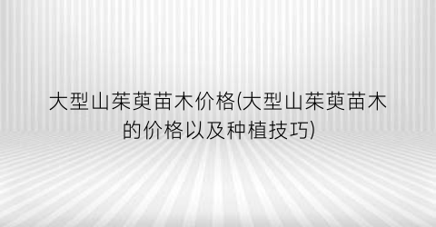 大型山茱萸苗木价格(大型山茱萸苗木的价格以及种植技巧)