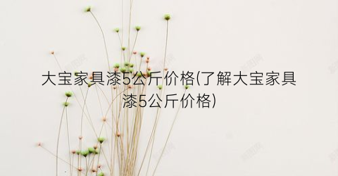 “大宝家具漆5公斤价格(了解大宝家具漆5公斤价格)