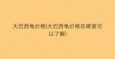 大巴西龟价格(大巴西龟价格在哪里可以了解)