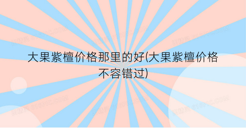 大果紫檀价格那里的好(大果紫檀价格不容错过)