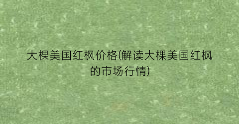 大棵美国红枫价格(解读大棵美国红枫的市场行情)