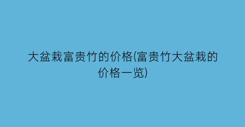 大盆栽富贵竹的价格(富贵竹大盆栽的价格一览)
