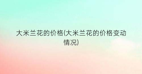 大米兰花的价格(大米兰花的价格变动情况)