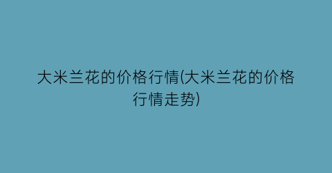 “大米兰花的价格行情(大米兰花的价格行情走势)