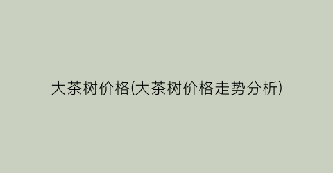大茶树价格(大茶树价格走势分析)