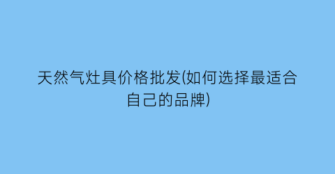 天然气灶具价格批发(如何选择最适合自己的品牌)