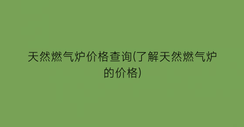 天然燃气炉价格查询(了解天然燃气炉的价格)