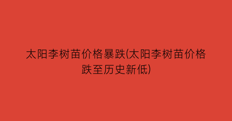 太阳李树苗价格暴跌(太阳李树苗价格跌至历史新低)