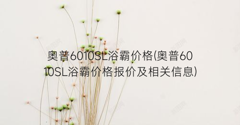奥普6010SL浴霸价格(奥普6010SL浴霸价格报价及相关信息)
