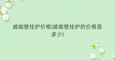 威能壁挂炉价格(威能壁挂炉的价格是多少)