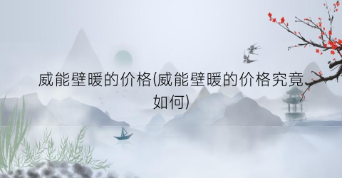 威能壁暖的价格(威能壁暖的价格究竟如何)