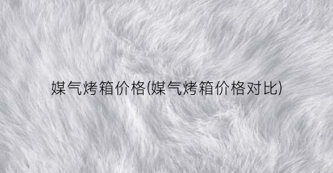 媒气烤箱价格(媒气烤箱价格对比)