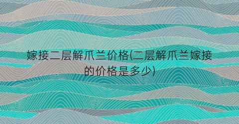嫁接二层解爪兰价格(二层解爪兰嫁接的价格是多少)