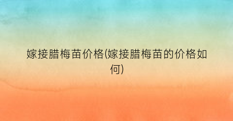 嫁接腊梅苗价格(嫁接腊梅苗的价格如何)