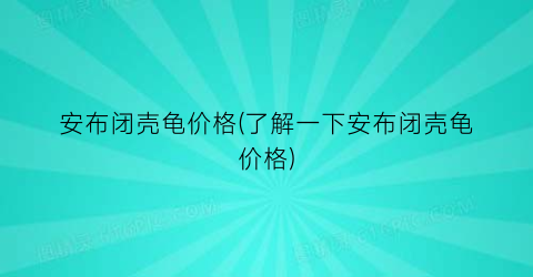 安布闭壳龟价格(了解一下安布闭壳龟价格)