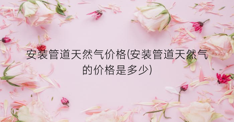 安装管道天然气价格(安装管道天然气的价格是多少)