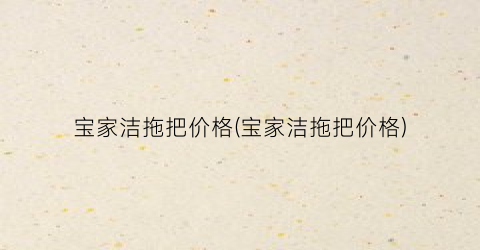 宝家洁拖把价格(宝家洁拖把价格)