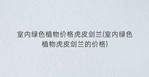 “室内绿色植物价格虎皮剑兰(室内绿色植物虎皮剑兰的价格)