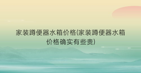家装蹲便器水箱价格(家装蹲便器水箱价格确实有些贵)