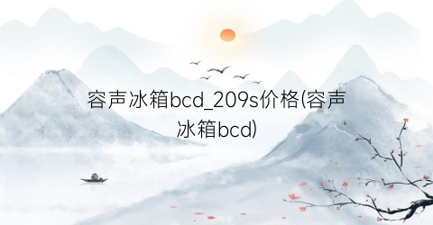 容声冰箱bcd_209s价格(容声冰箱bcd)