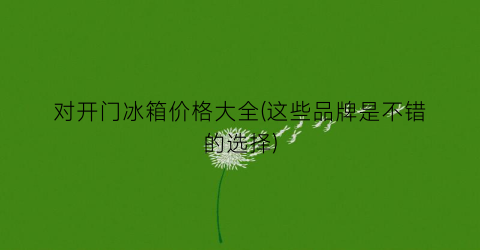 对开门冰箱价格大全(这些品牌是不错的选择)