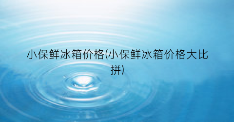 小保鲜冰箱价格(小保鲜冰箱价格大比拼)